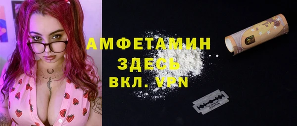 амф Верхний Тагил