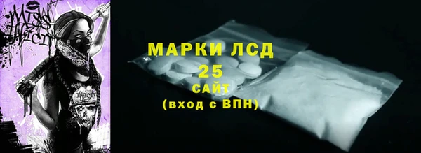 амф Верхний Тагил